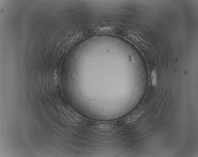 X0000057101395200509301605