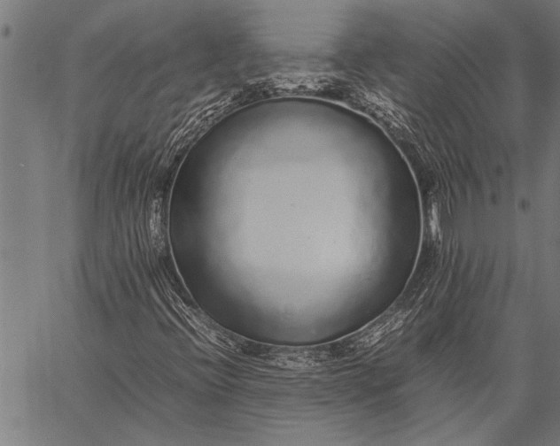 X0000057101396200509301605