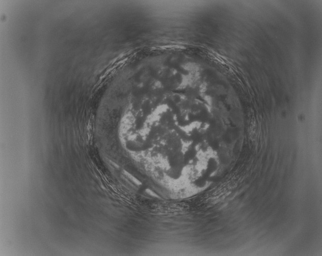 X0000057101397200509301605