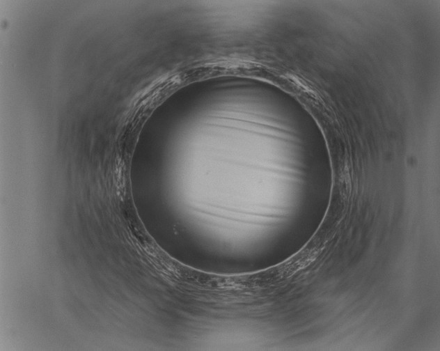 X0000057101398200509301605