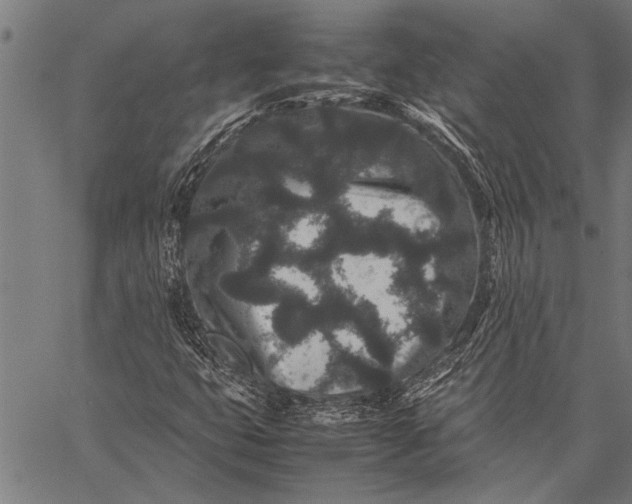 X0000057101399200509301605