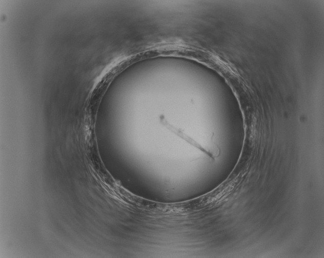 X0000057101400200509301605