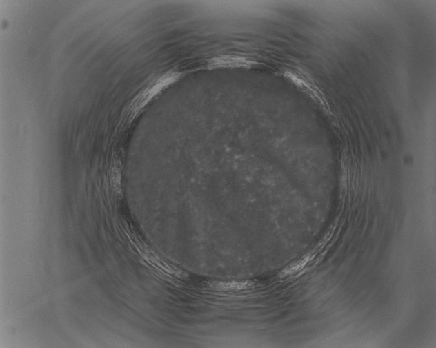 X0000057101401200509301605