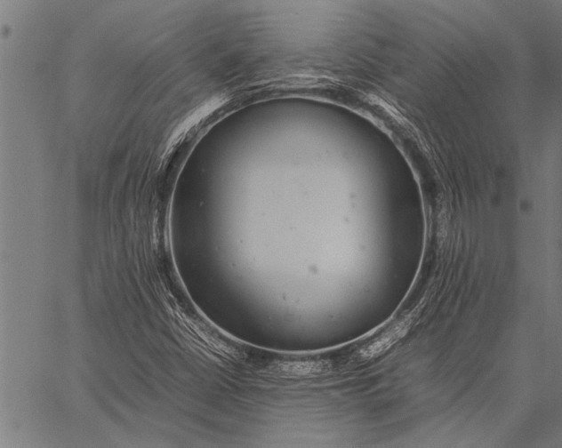 X0000057101402200509301605