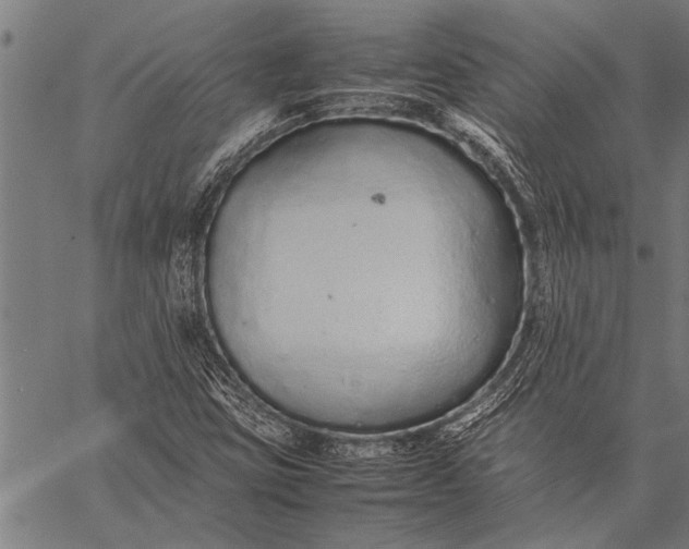 X0000057101403200509301605