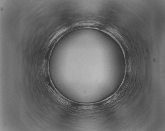 X0000057101404200509301605