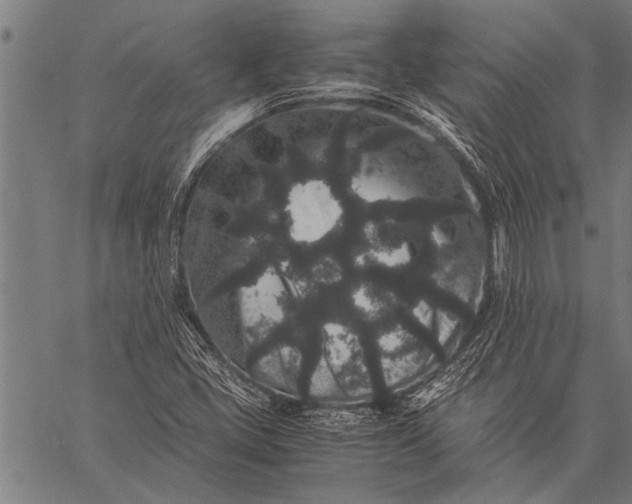 X0000057101405200509301605