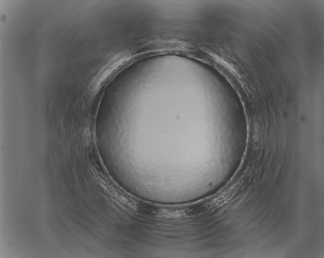 X0000057101407200509301605