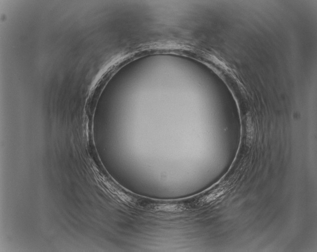 X0000057101408200509301605