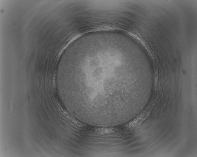 X0000057101409200509301605