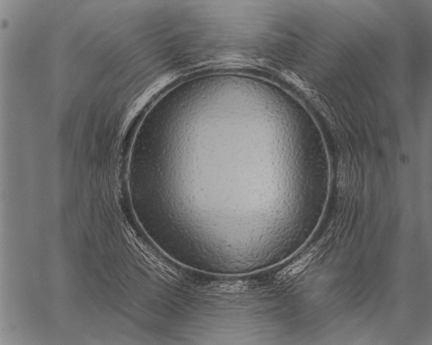 X0000057101410200509301605