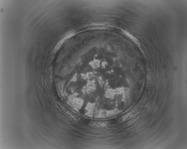 X0000057101411200509301605