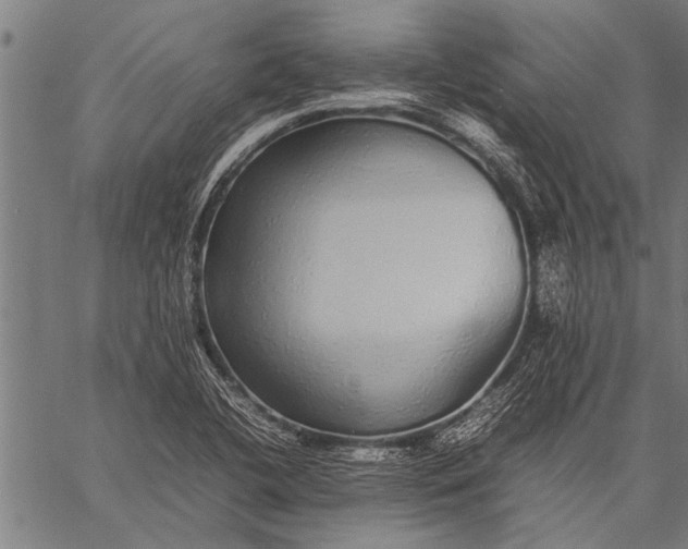 X0000057101412200509301605