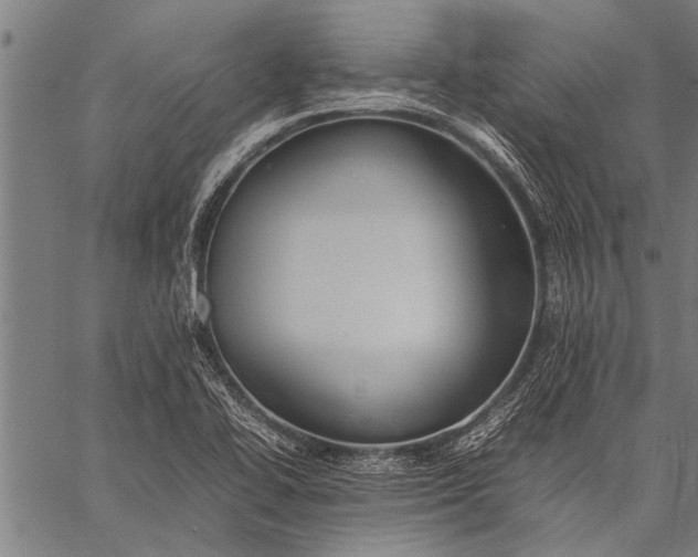 X0000057101414200509301605