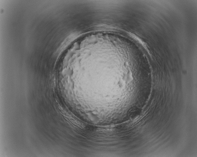 X0000057101415200509301605