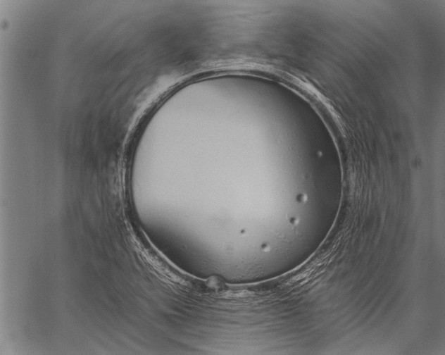 X0000057101416200509301605