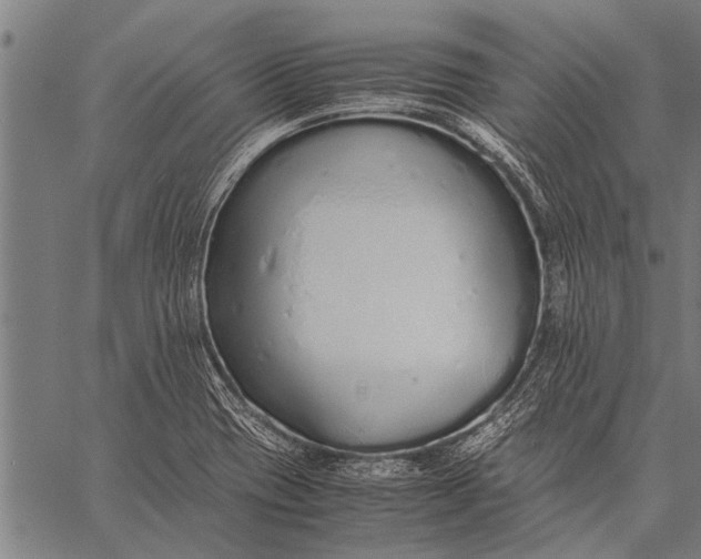 X0000057101417200509301605