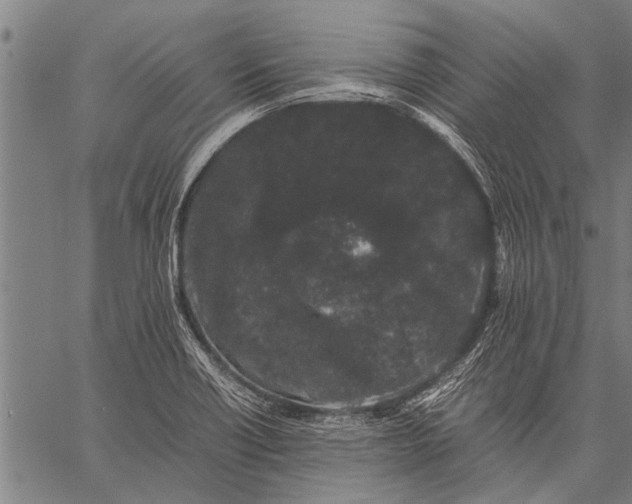 X0000057101418200509301605