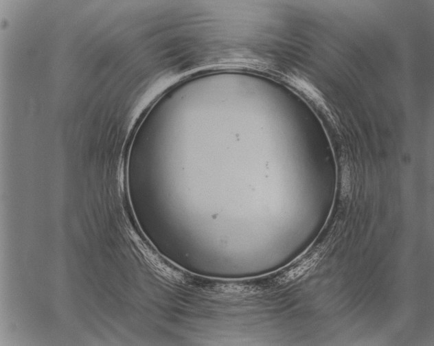 X0000057101420200509301605