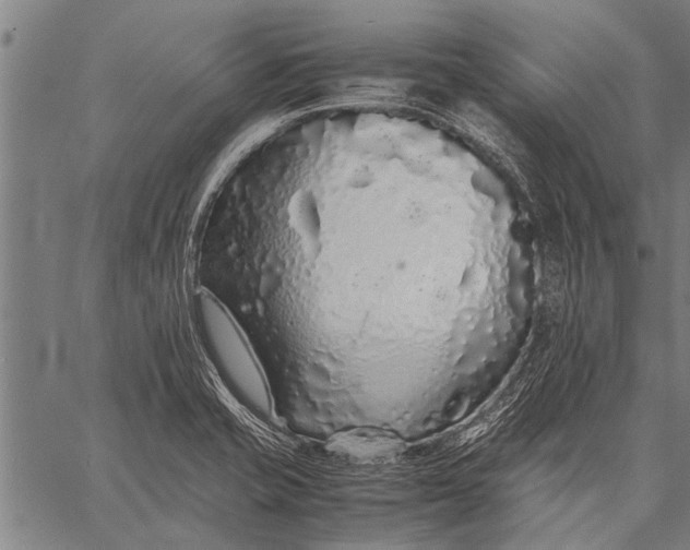 X0000057101421200509301605