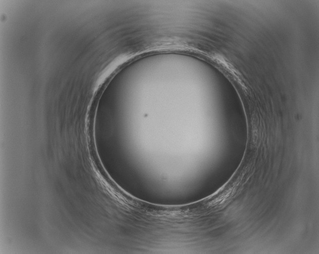 X0000057101422200509301605