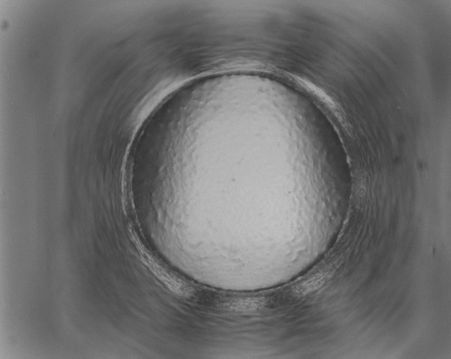 X0000057101423200509301605