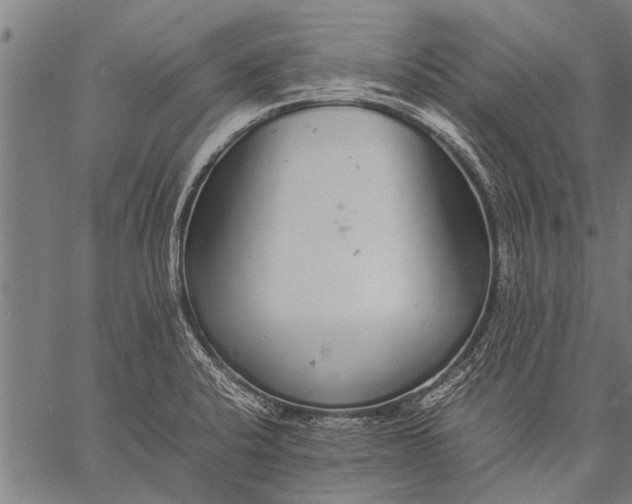 X0000057101424200509301605