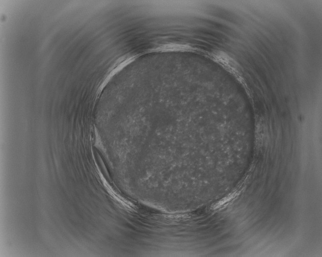 X0000057101425200509301605