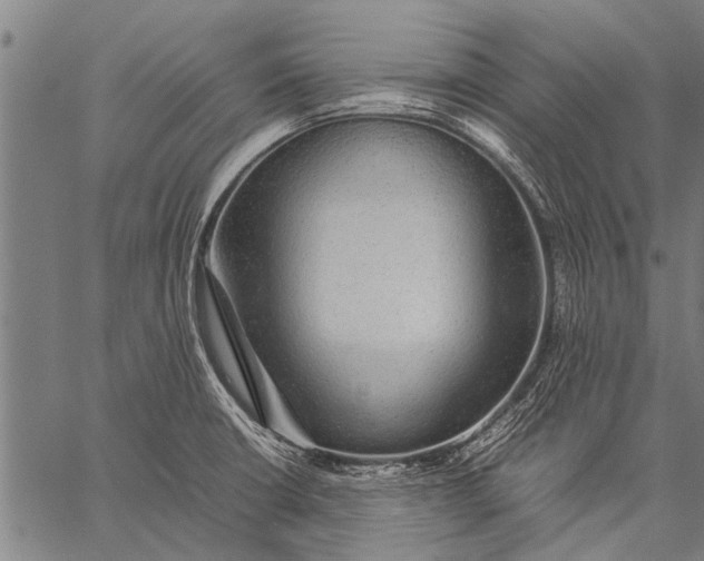 X0000057101426200509301605