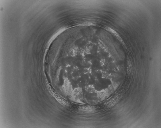 X0000057101427200509301605