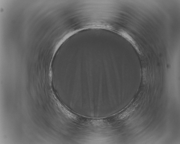 X0000057101428200509301605