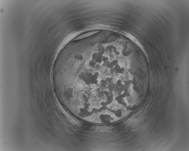 X0000057101429200509301605