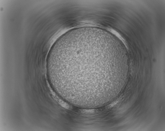 X0000057101431200509301605