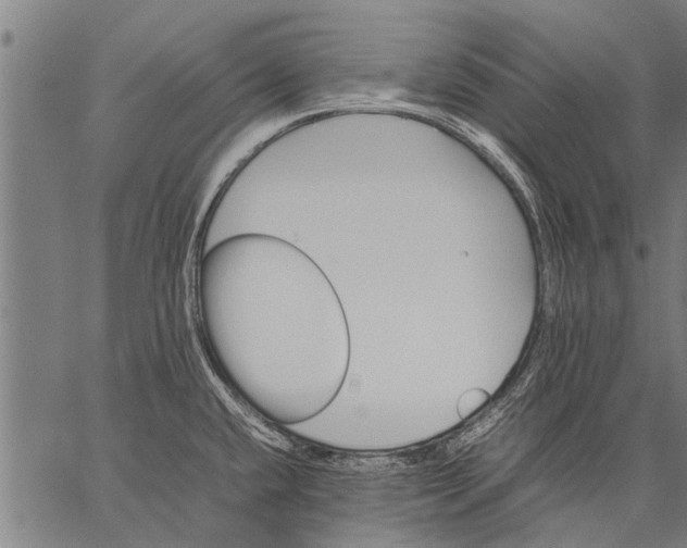 X0000057101432200509301605