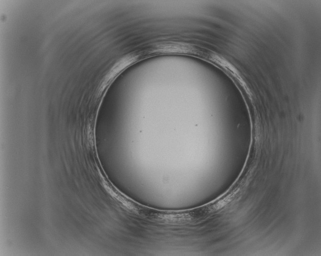 X0000057101433200509301605