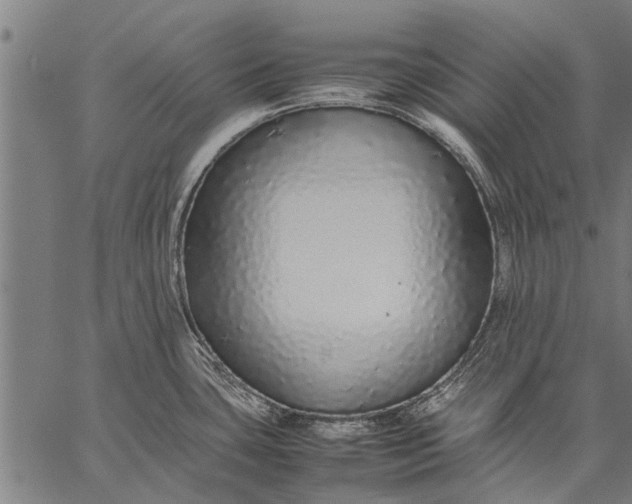 X0000057101435200509301605