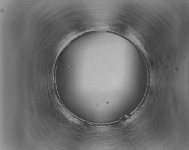 X0000057101436200509301605