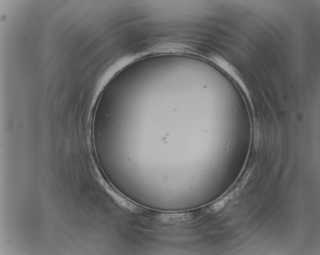 X0000057101437200509301605