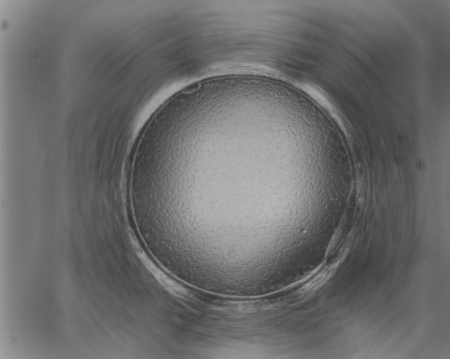 X0000057101438200509301605