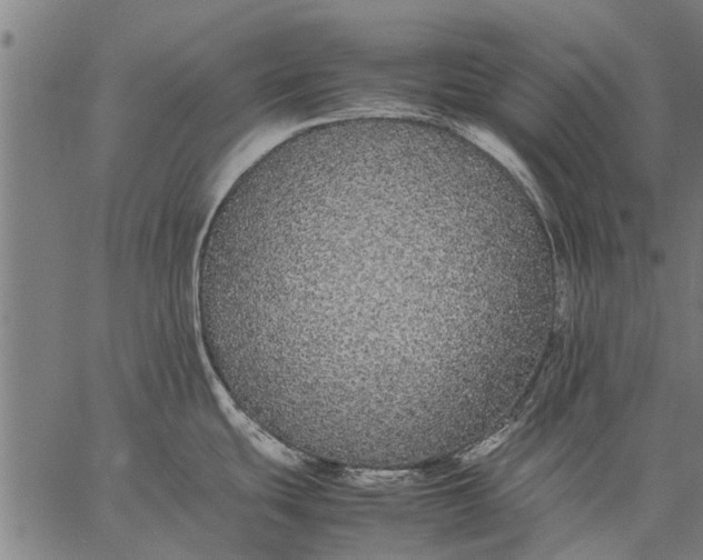 X0000057101439200509301605