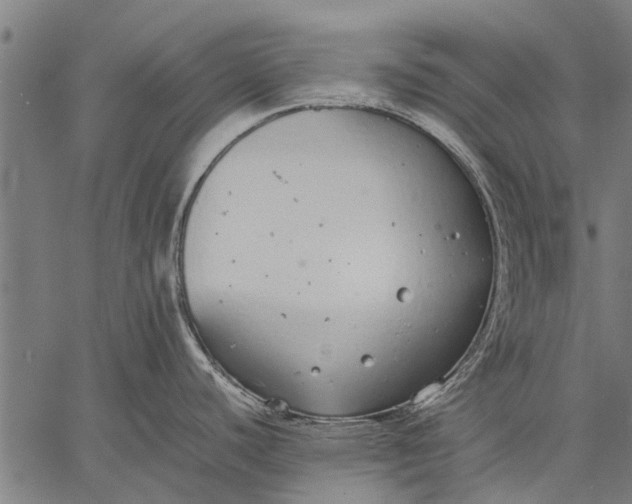 X0000057101440200509301605