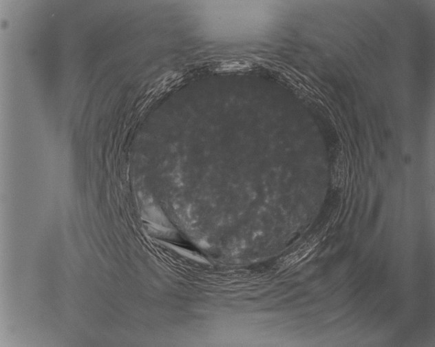 X0000057101441200509301605