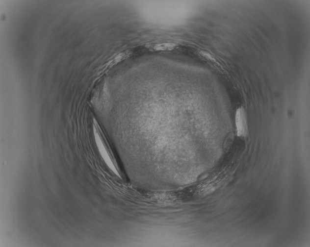 X0000057101443200509301604