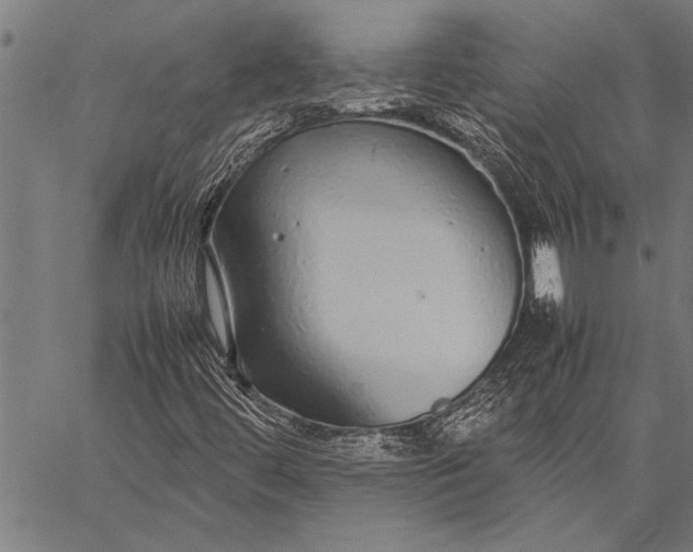 X0000057101444200509301604