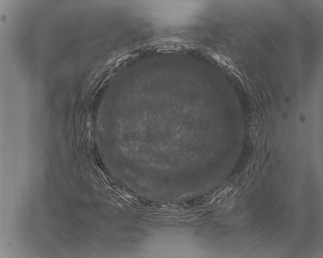 X0000057101445200509301604