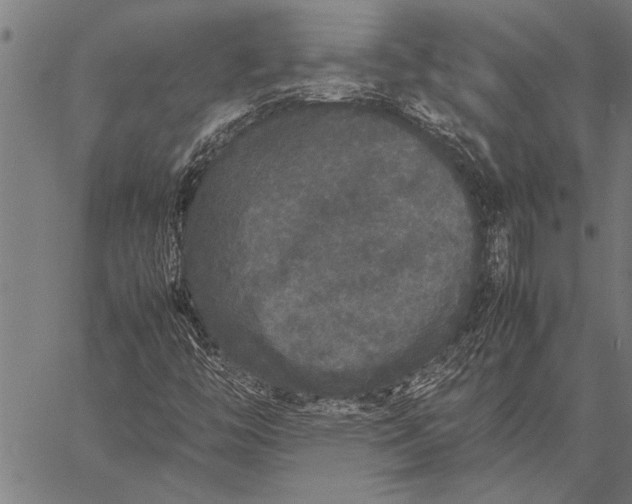 X0000057101446200509301604