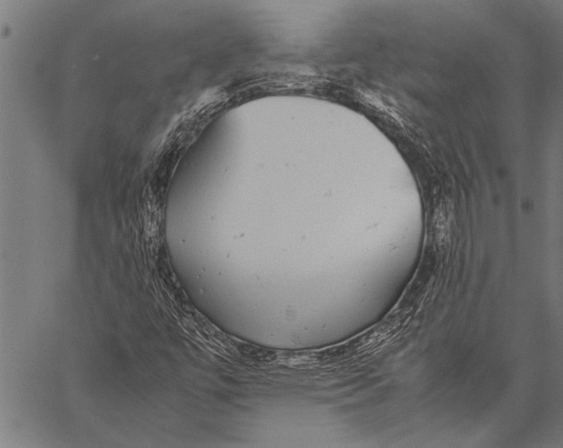 X0000057101447200509301604