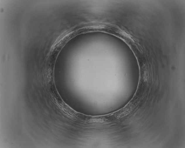 X0000057101448200509301604