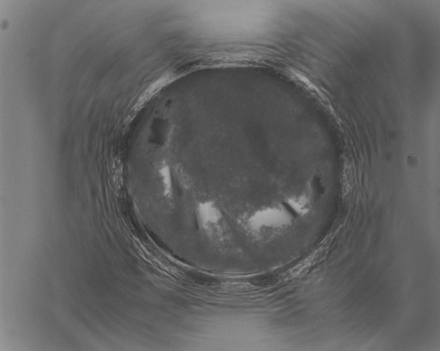 X0000057101449200509301604