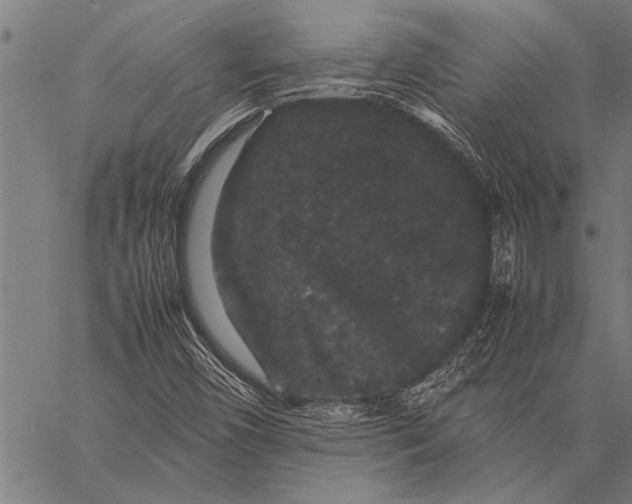 X0000057101450200509301604